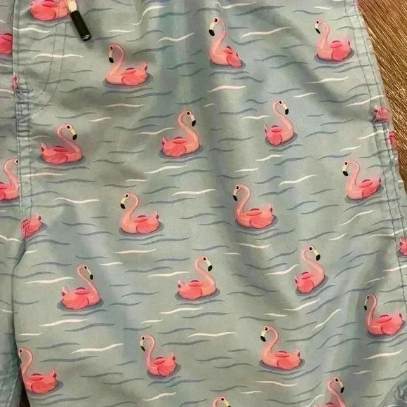 Broken Threads Surf Men’s Blue Flamingo Swim Trunks Shorts Lined Size Large - Picture 2 of 7